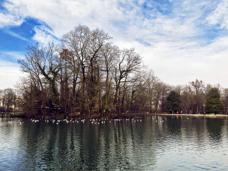 City lake tranquil panorama in Ducale park, Emilia Romagna, Parma, Italyの写真素材