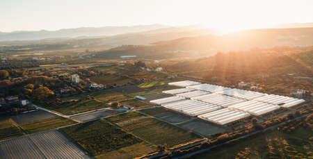 Greenhouse at sunset light. Aerial view.の写真素材