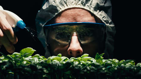 scientist irrigate green seedling in laboratoryの写真素材