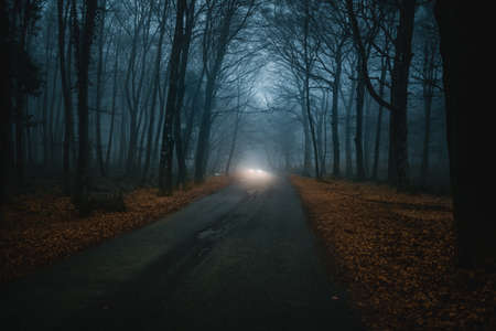 Mountain road with fog and foliage