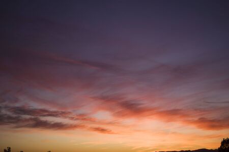 Afternoon landscape