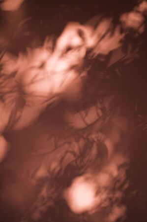 Shadows on the wallの写真素材