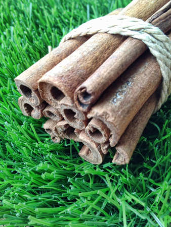 Cinnamon rolls on the artificial grass.