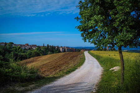 a Street in Countrysideの写真素材
