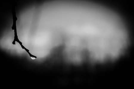 drop of waterの写真素材