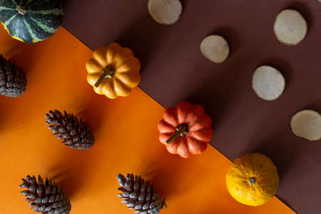 Pumpkins and pine cones on an orange background.