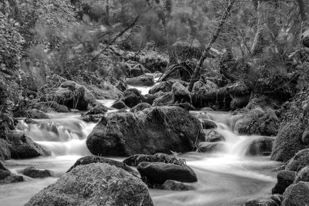 Winter river flowsの写真素材