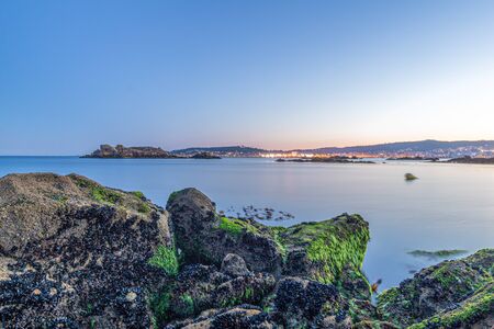 Green shines in blueの写真素材