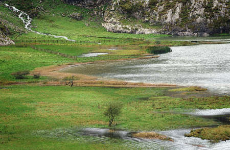 Fence in Lakes of Covadongaの写真素材