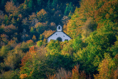 Autumn landscape view in Selva de Irati, Navarra, Spainの写真素材