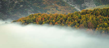 Autumn in Selva de Irati, Navarra, Spain