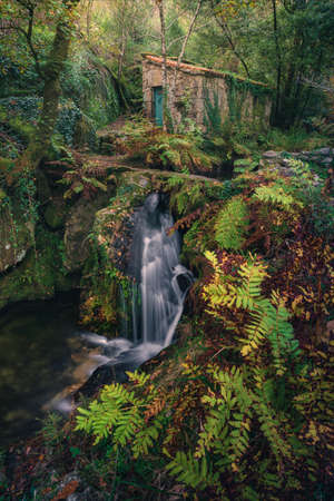 Autumn colors by the river in Muinos do Tripes, Galicia, Spain, old water mills.の写真素材