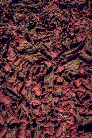 Dry mud. Textures in Sahara desert