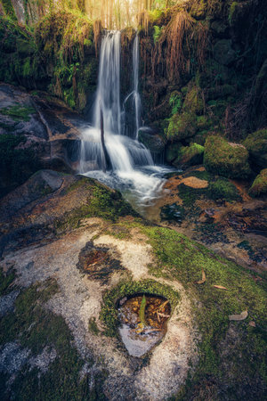 <p>Beautiful waterfall in the forest, long exposure photo, long exposure</p>の写真素材
