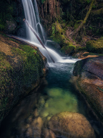 <p>Beautiful waterfall in the forest. Long exposure shot. Toned.</p>