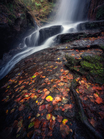 Waterfall in autumn forest with fallen leaves. Long exposure photography.の写真素材