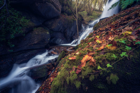 Autumn landscape with a waterfall in the forest. Long exposure.の写真素材