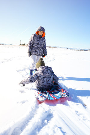 Children laughter have fun sledding on a sunny day on winter denver