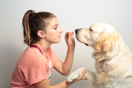 teen giving your dog chocolateの写真素材