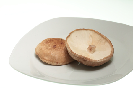 mushrooms on a plate on white backgroundの写真素材