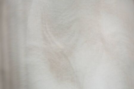 Abstract of a lily flowers with effect movedの写真素材