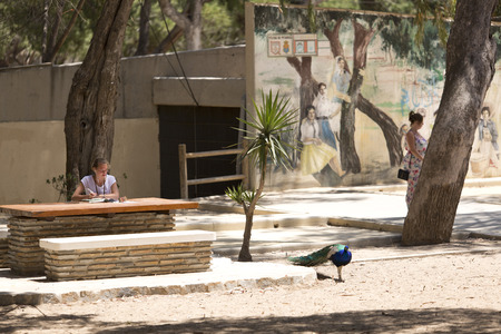 Guardamar del Segura, Alicante, Spain. May 31, 2016:  girl reading in a park Spanish with a peacock beside her.のeditorial素材