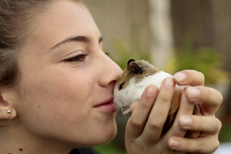 Happy girl with your Guinea pig in the hands, giving kisses. Horizontal capture.の写真素材