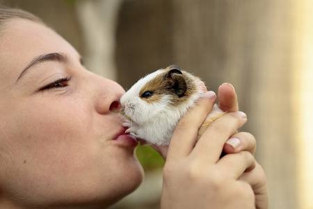 Happy girl with your Guinea pig in the hands, giving kisses. Horizontal capture.の写真素材