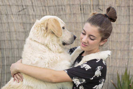 Dog breed Golden Retriever giving a hug to his owner. Take horizontal with natural light in...
