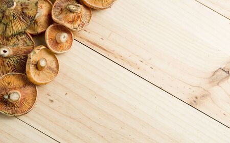 Mushrooms stacked on a background of pine woodの写真素材
