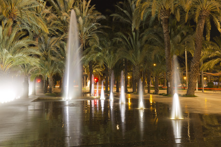 Source of Elche in Spain. Illuminated at nightの写真素材
