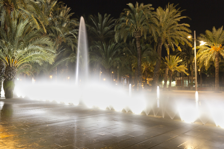 Source of Elche in Spain. Illuminated at nightの写真素材