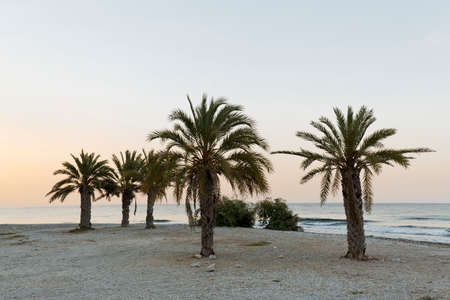 View at sunrise of Torres beach in Villajoyosa, Alicante province, Spain.の写真素材