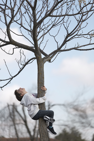 10 year old girl climb on a tree looking up. Horizontal shot with natural lightの写真素材