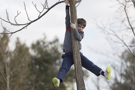 10-year-old boy climbing on a tree looking towards the camera. Horizontal shot with natural lightの写真素材