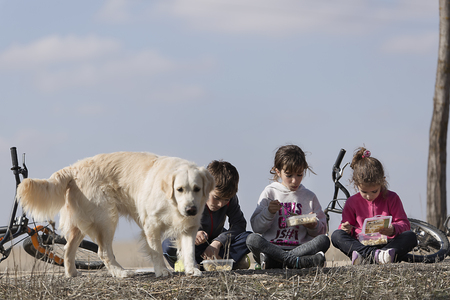 Three children sitting on floor taking outdoor snack with their dog. Horizontal shot with natural lightの写真素材