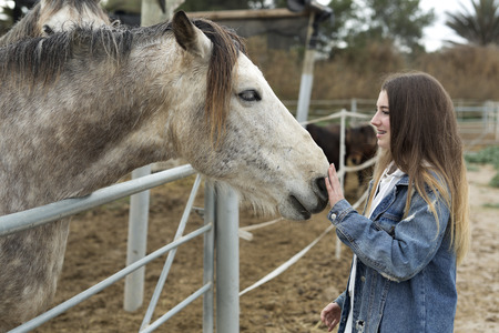 Young woman giving affection to some horses in a refuge of the province of Alicante in Spain.の写真素材