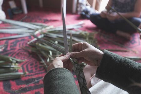 Hands of people braiding palm in a learning workshop. Shots taken in natural light.