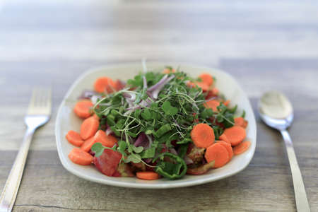 Salad plate with organic vegetables produced in Spain on a wooden backgroundの写真素材