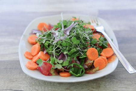 Salad plate with organic vegetables produced in Spain on a wooden backgroundの写真素材