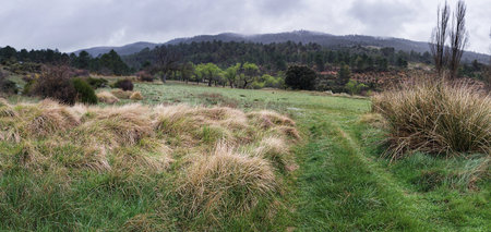 Green landscape in the Sierra del Segura, Bogarra, province of Albacete in Spainの写真素材
