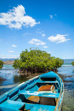 Boat in turtle beach mangrovesの写真素材