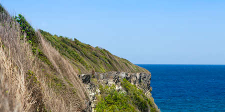 Trees at the edge of the cliff Cabo Frances Naguaの写真素材