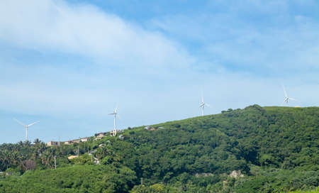 View of the park the coconuts from the roadの写真素材