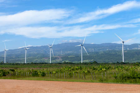View of wind park in the coconuts barahona