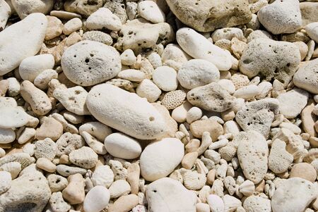 Dead coral forming a white backgroundの写真素材