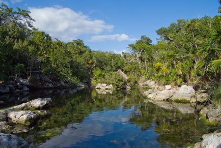 Tropical landscape with a tranquil pondの写真素材