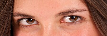 
Beautiful female brown eyes looking at the camera
の写真素材
