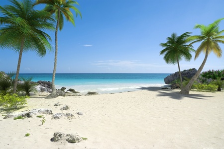 
Beautiful tropical deserted beach with palmtrees and a blue sea
の写真素材