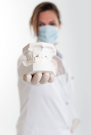

Female dentist holding a plaster mold of a denture to the camera

の写真素材